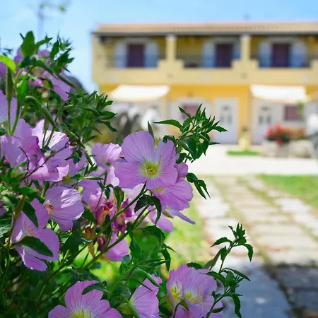 Harmony Corfu & *