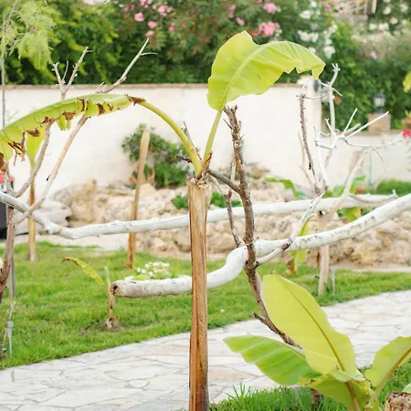 شقة Harmony Corfu &