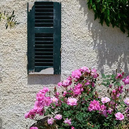 Lejlighed Harmony Corfu & Agios Georgios (Corfu)