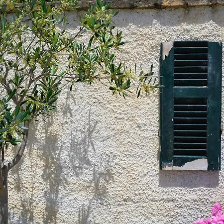 Harmony Corfu & Lejlighed Agios Georgios (Corfu)