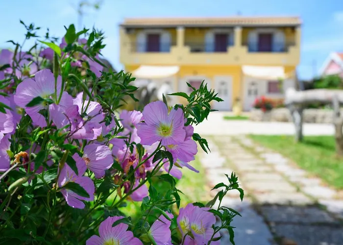Harmony Corfu & *