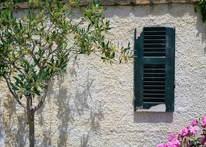 Harmony Corfu & Appartamento Agios Georgios (Corfu)